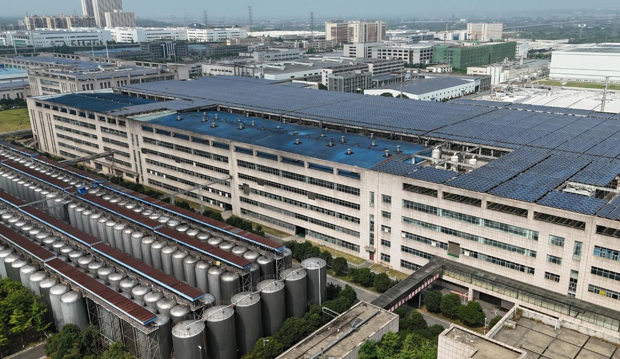 Solar panels with wind turbines and city skyline in background